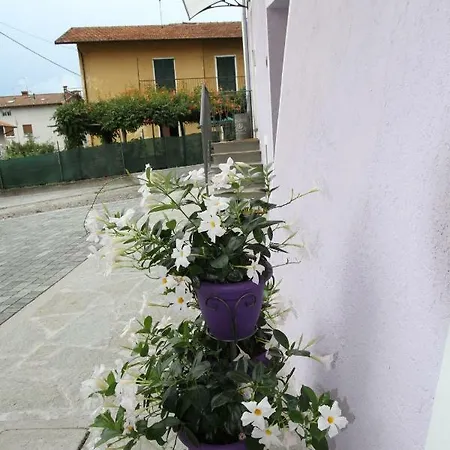 Casa Delle Corti 科利科